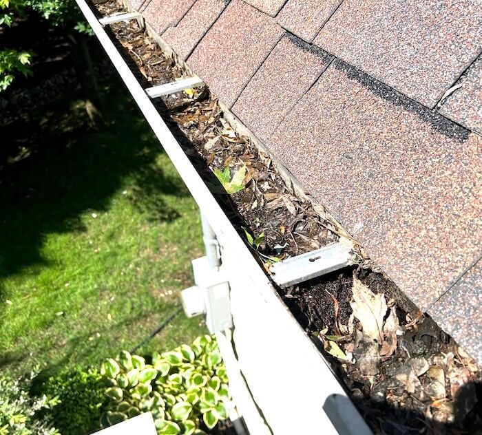 Gouttière obstruée par des feuilles et des débris avant le nettoyage par VitresMV dans l'Ouest-de-l'Île